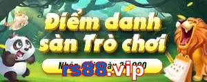 rs88.vip